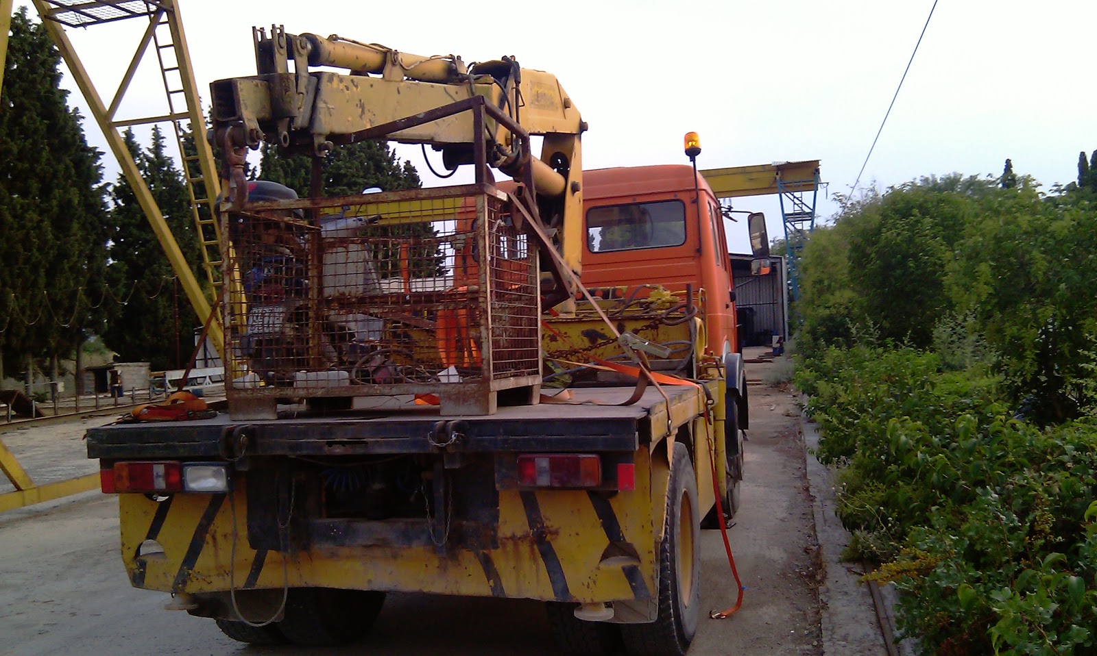 γερανοιπαπαγαλοι ΓΕΡΑΝΟΙ ΘΕΣΣΑΛΟΝΙΚΗ 6944355797 ΠΑΝΤΑΖΗΣ ΕΠΙΣΗΜΗ